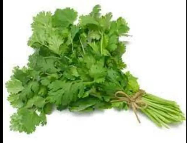 FRESH CORIENDER (BUNCH)