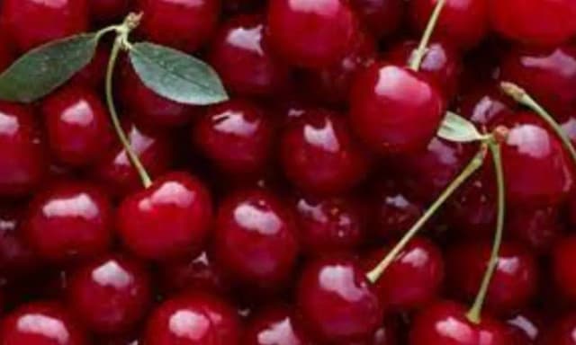 CHERRY BOX