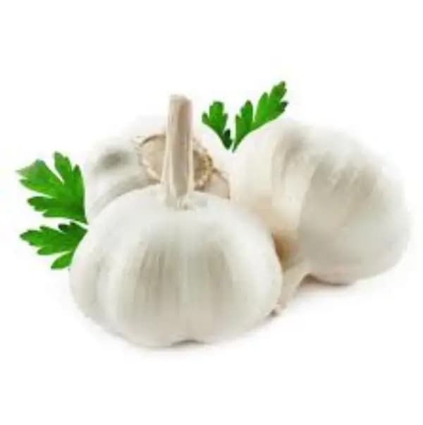 FRESH GARLIC
