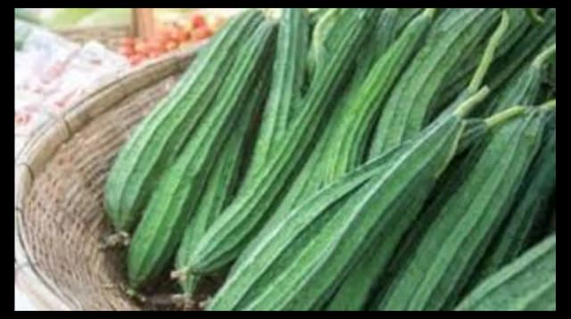 RIDGE GOURD (TORI)